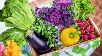 Homegrown fruit and veg makes for healthier diet and less waste, study suggests