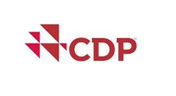Fewer than one in 200 companies have credible climate plans, says CDP