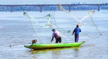 One-fifth of Mekong river fish species face extinction, report says