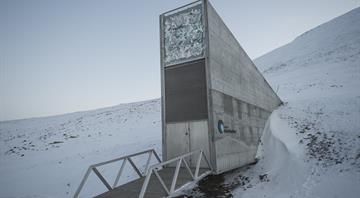 Svalbard’s doomsday vault gets record batch of global crop seeds