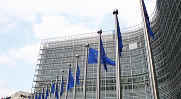 EU brands just four countries as 'high risk' under deforestation law EU brands just four countries as 'high risk' under deforestation law