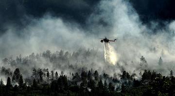 AI’s Role in Wildfire Prevention AI’s Role in Wildfire Prevention