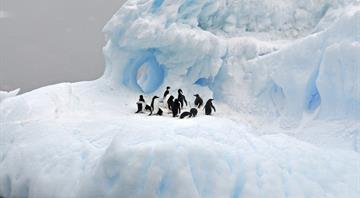 No quick fix to reverse Antarctic sea ice loss as warming intensifies, scientists say