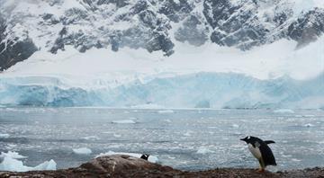 Antarctic temperatures soar 50 degrees above norm in long-lasting heat wave