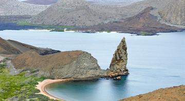 The unique creatures of The Galapagos Islands are under threat from warming waters and stray pets