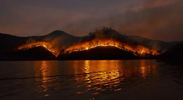 Fires in Brazil's Amazon rainforest for July surge to highest in two decades