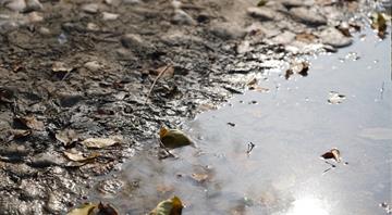 Almost 500 chemicals found in England’s rivers and groundwater