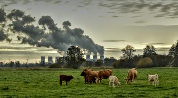 Third of emissions cuts must come from behaviour changes, say Lords