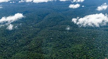NASA chief offers Brazil satellite imaging to help stop Amazon deforestation