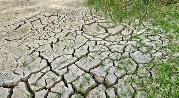 Climate crisis made summer drought 20 times more likely, scientists find