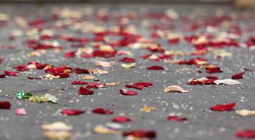 The new revenue stream for Greece's struggling rice farmers? Wedding confetti The new revenue stream for Greece's struggling rice farmers? Wedding confetti