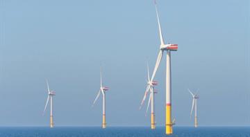 Global investment in renewable energy up 10% on 2024 despite Trump rollback