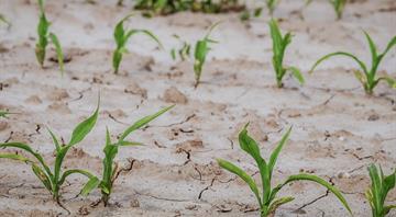 Morocco invests in desalination, waterways to mitigate drought Morocco invests in desalination, waterways to mitigate drought