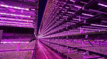 Gloucestershire vertical farm is one of UK's 'most advanced'