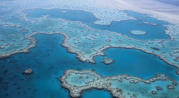Australia's Great Barrier Reef stays off UNESCO danger list, still under 'serious threat'