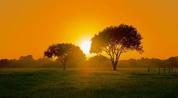 Texas study reveals heat waves can cause more polluted air Texas study reveals heat waves can cause more polluted air