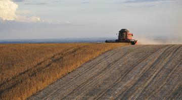 Brazil agencies clash over soy moratorium, raising risks for traders Brazil agencies clash over soy moratorium, raising risks for traders