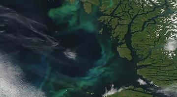 World’s oceans changing colour due to climate breakdown, study suggests