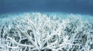 Climate tipping points are being crossed, scientists warn ahead of COP30 Climate tipping points are being crossed, scientists warn ahead of COP30