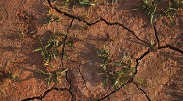 Nature loss will cut UK GDP by 5% without action from private sector, say experts Nature loss will cut UK GDP by 5% without action from private sector, say experts