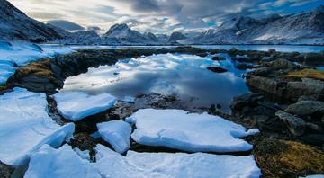 Alarming levels of PFAS in Norwegian Arctic ice pose new risk to wildlife