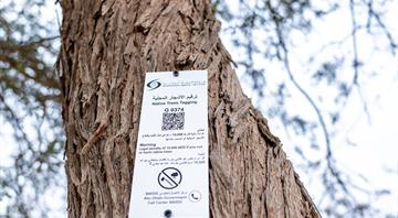 The Environment Agency–Abu Dhabi Expands Its Native Tree-Tagging Programme
