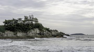 Oceans protection treaty could take effect from January, Macron says Oceans protection treaty could take effect from January, Macron says