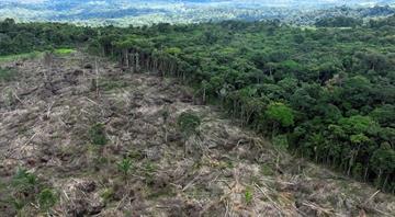 Deforestation in Brazil's Amazon rises in March