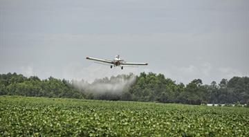 EU chemical firms plan to export rising quantities of ‘toxic’ pesticides, documents show