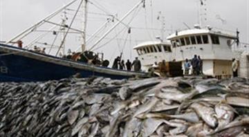 EU-UK reach deal on fisheries quota of shared stocks