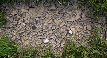 'Very critical situation': Almost half of EU countries suffering from drought