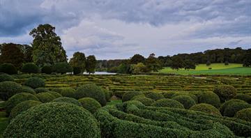 England's hedges would go around Earth ten times