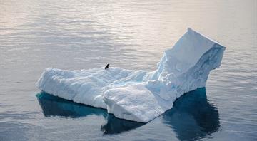 Record low sea-ice levels around Antarctica ‘likely due to climate change’