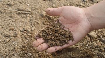 AI Forecasts Microplastics' Impact on Soil Properties