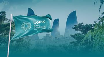 COP29 countries endorse global carbon market framework