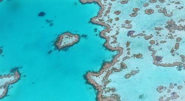 Australia accused of trying to block Unesco process that could put Great Barrier Reef in danger list