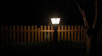 Artificial lighting at night affects plant seasons and human life