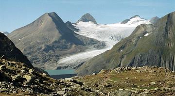 Switzerland's Gries Glacier melting at an alarming pace