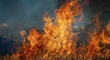Biden administration unveils plan to combat worsening US wildfires