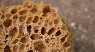 Ancient sea sponges at centre of controversial claim world has already warmed by 1.7C
