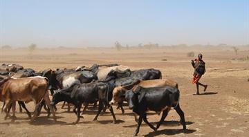 Horn of Africa drought not possible without climate change - study