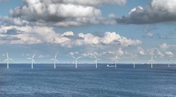Industry fears EU carbon border tax will penalise British green energy