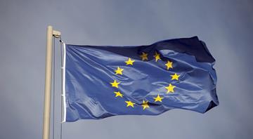 EU urged to speed up permits for critical mineral projects