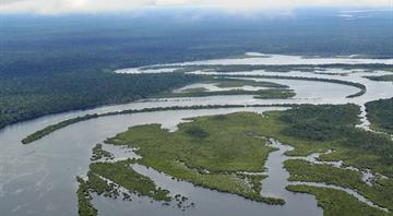 Amazon nations fail to agree on deforestation goal at summit