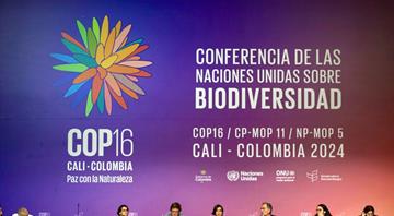 Alarm grows over ‘disturbing’ lack of progress to save nature at Cop16