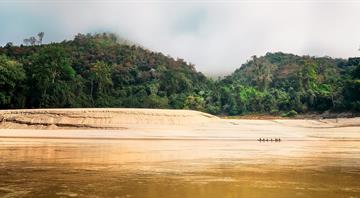 Mekong region sees 224 new species, despite 'intense threat' - report
