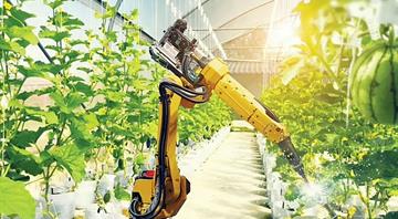 New UAE farming tech cuts energy by 60% and saves water