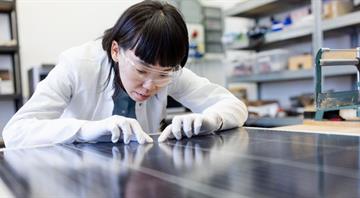 Renewables Jobs See First Slowdown Amid Global Deployment Growth