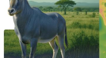 US company aims to resurrect bluebuck antelope that was hunted to extinction