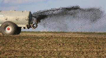 Oil-based products are everywhere, from fertiliser to fashion. What are the alternatives?
